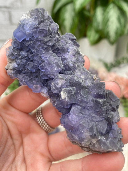Chinese Purple Fluorite Clusters