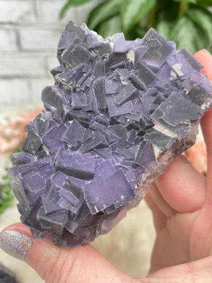 Chinese Purple Fluorite Clusters