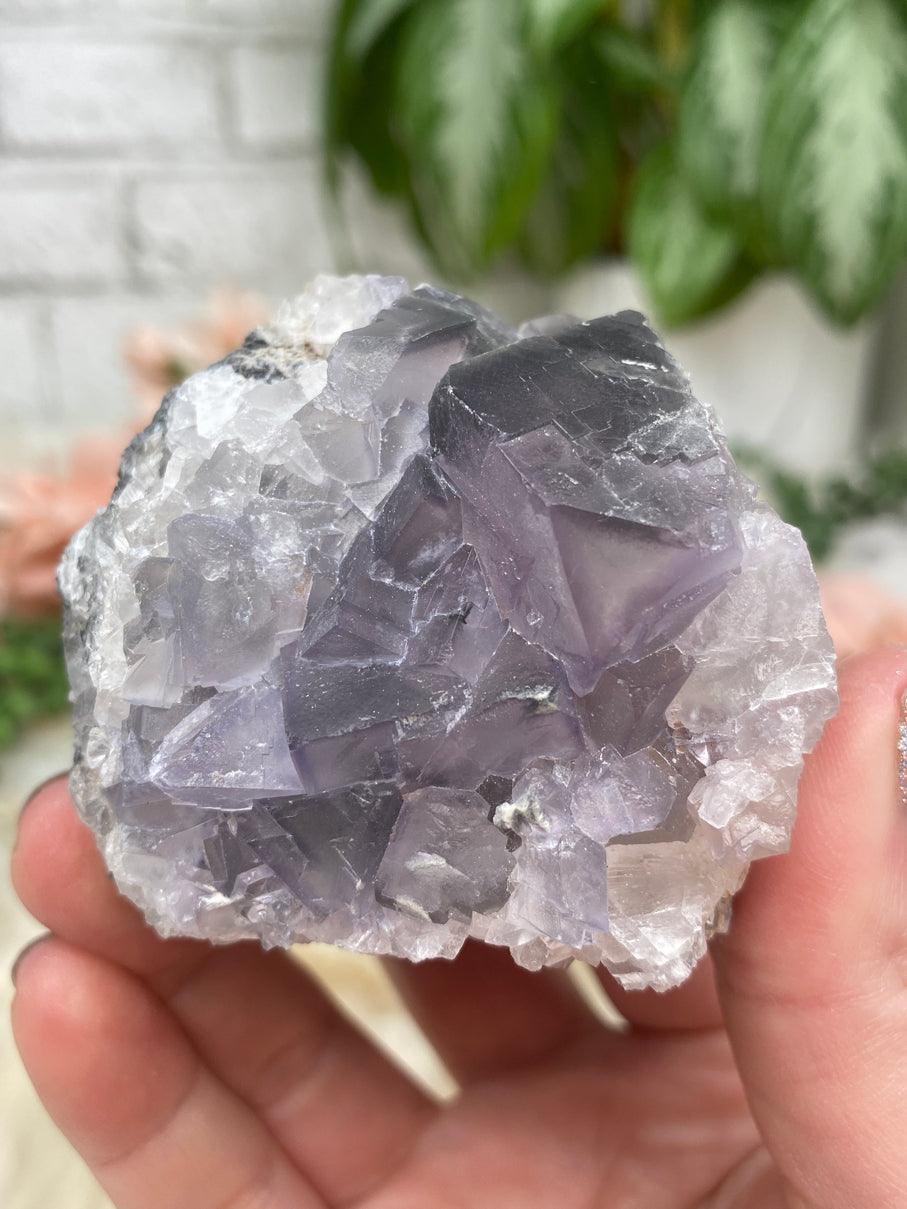 tiny-cubic-purple-fluorite-cluster