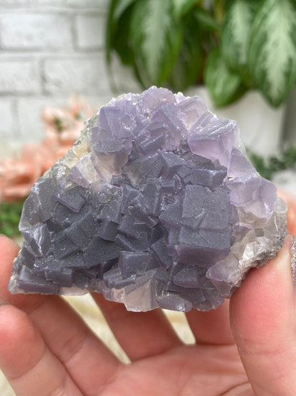 Chinese Purple Fluorite Clusters