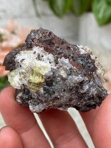 Contempo Crystals - yellow-apatite-in-dark-matrix - Image 10