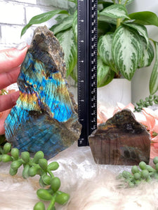 Contempo Crystals - blue-yellow-labradorite-chunks - Image 6