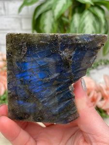 Contempo Crystals - Semi-Polished Labradorite - Image 18