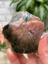 Load image into Gallery: Contempo Crystals - Semi-Polished Labradorite - Image 16