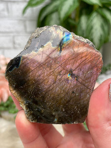 Contempo Crystals - Semi-Polished Labradorite - Image 15