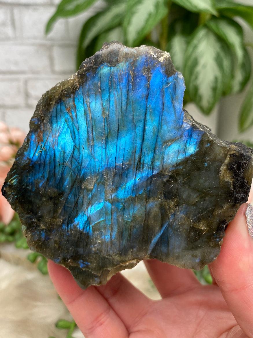 semi-polished-rainbow-labradorite