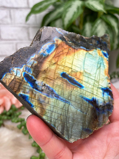 Semi-Polished Labradorite