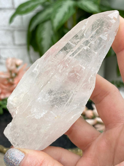 Brazil Lemurian Quartz