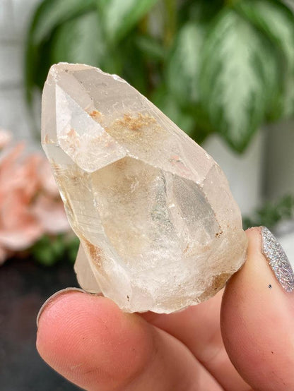 Brazil Lemurian Quartz