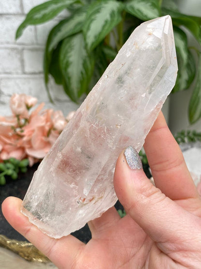 Brazil Lemurian Quartz