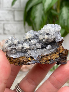 Contempo Crystals - goethite-chalcedony-specimen - Image 24