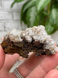 Contempo Crystals - Mexico Goethite Chalcedony Specimens - Image 25