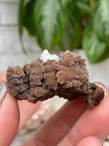Contempo Crystals - goethite-chalcedony-clusters - Image 9