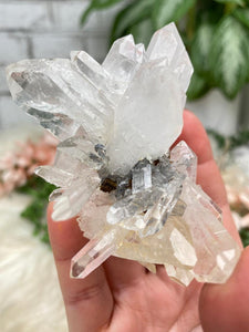 Contempo Crystals - twin-colombian-quartz-points - Image 16