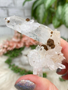 Contempo Crystals - twin-colombian-quartz-points - Image 18