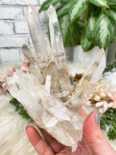 Load image into Gallery: Contempo Crystals - chunky-colombian-quartz-cluster - Image 10