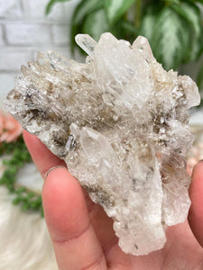 Contempo Crystals - self-healed-garden-quartz - Image 13