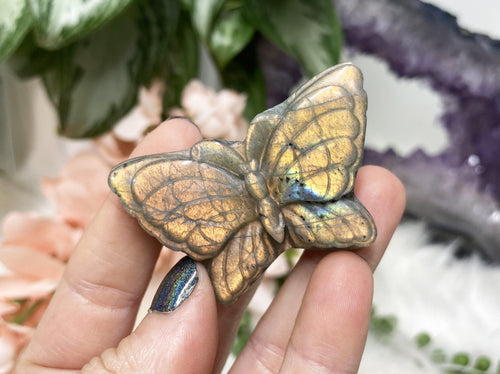 These colorful labradorite butterflies are fun and flashy!