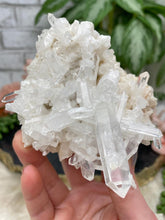Load image into Gallery: Contempo Crystals - large-colombian-quartz-self-healed - Image 21