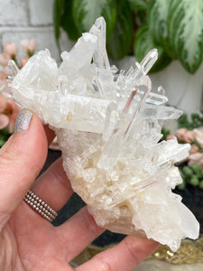 Contempo Crystals - Colombian Quartz - Image 22
