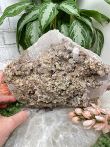 Contempo Crystals - large-tan-lodolite-quartz - Image 8