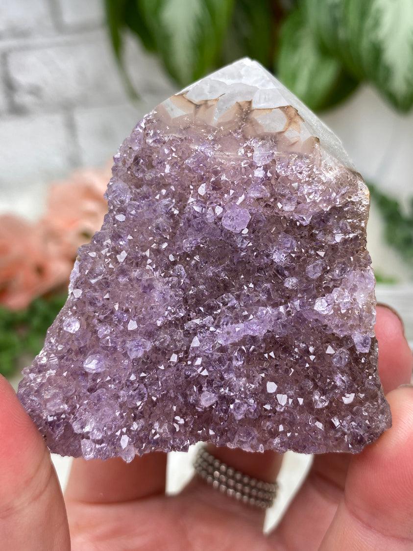 Small Amethyst Cluster Points