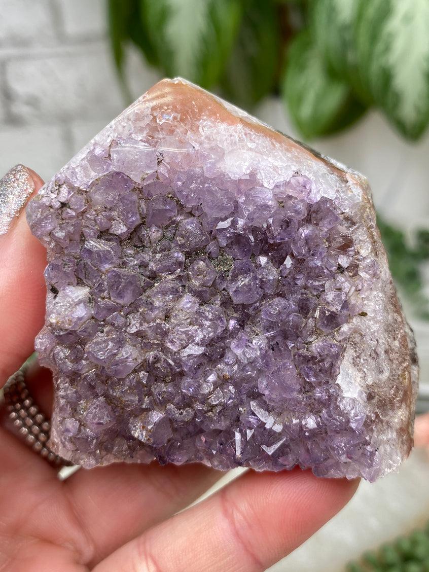 Small Amethyst Cluster Points