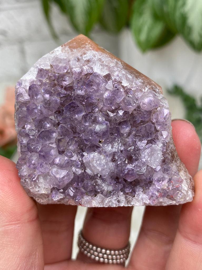 Small Amethyst Cluster Points