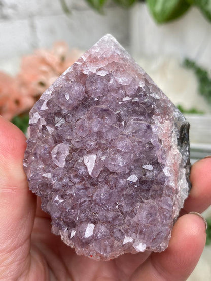 Small Amethyst Cluster Points