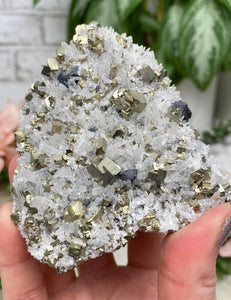 Contempo Crystals - peruvian-quartz-sphalerite-pyrite - Image 8