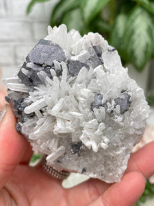 Contempo Crystals - Peru Pyrite on Quartz - Image 29