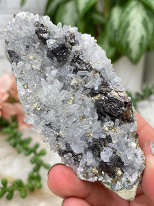 Contempo Crystals - Peru Pyrite on Quartz - Image 13