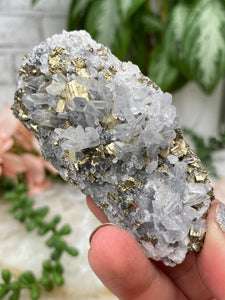 Contempo Crystals - Peru Pyrite on Quartz - Image 32