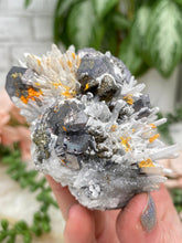 Load image into Gallery: Contempo Crystals - Peru Pyrite on Quartz - Image 12
