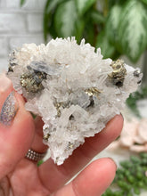 Load image into Gallery: Contempo Crystals - Peru Pyrite on Quartz - Image 19