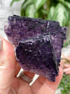 Contempo Crystals - dark-purple-musquiz-fluorite-cluster - Image 13