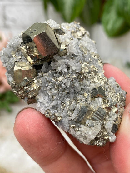 Peru Pyrite & Quartz Clusters