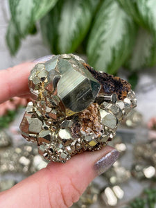 Contempo Crystals - Small Pyrite Clusters - Image 11