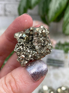 Contempo Crystals - Small Pyrite Clusters - Image 26