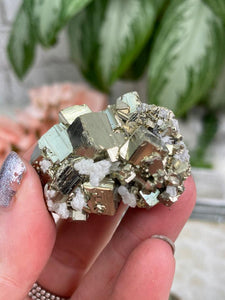 Contempo Crystals - Small Pyrite Clusters - Image 27