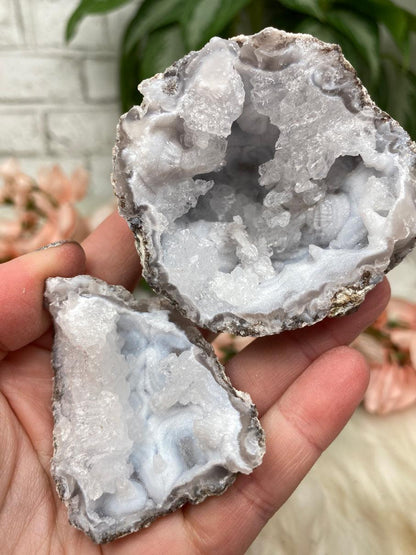 Mexico Trancas Geodes