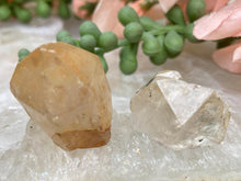 Load image into Gallery: Contempo Crystals - Natural Citrine Clusters - Image 12