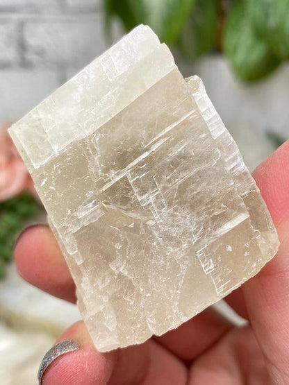 Indian Optical Calcite