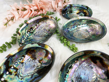 Load image into Gallery: Contempo Crystals - Beautiful polished Abalone Shells - Image 2