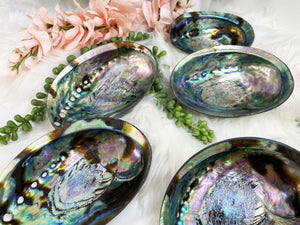 Contempo Crystals - Beautiful polished Abalone Shells - Image 2