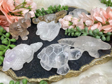Load image into Gallery: Contempo Crystals - smoky-quartz-elephant-quartz-duck - Image 6