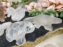 Load image into Gallery: Contempo Crystals - smoky-quartz-elephant-quartz-duck - Image 5