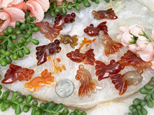 Load image into Gallery: Contempo Crystals - carnelian-fish - Image 9