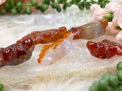 small-carnelian-fish-crystals