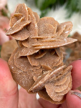Load image into Gallery: Contempo Crystals - Desert Rose Selenite - Image 11